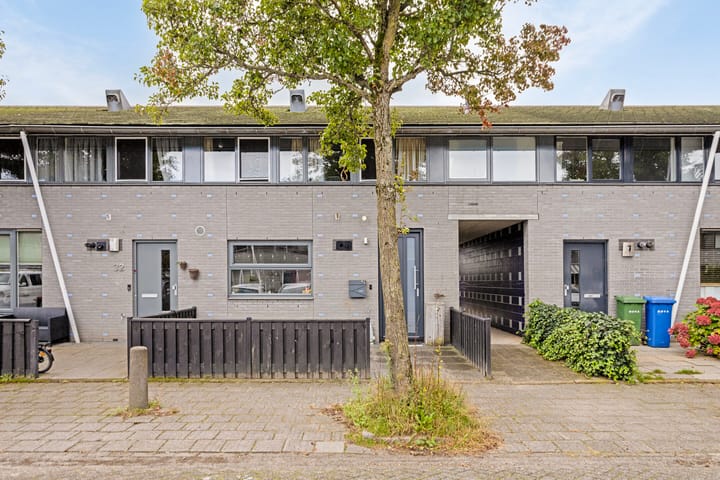 Foto 2 van Steintjeskreek 30