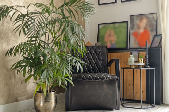 Foto 12 van Steintjeskreek 30