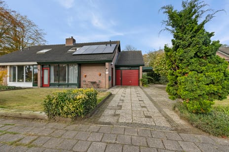 undefined main image