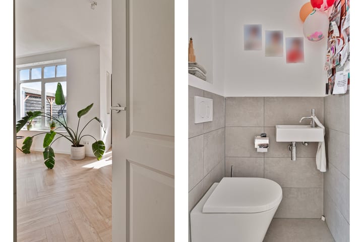 Foto 8 van Kattenstaart 15