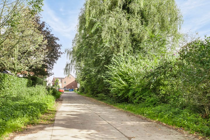 Foto 29 van Kattenstaart 15