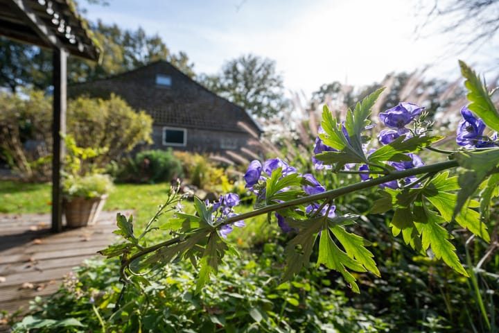 Foto 46 van Mepperstraat 13