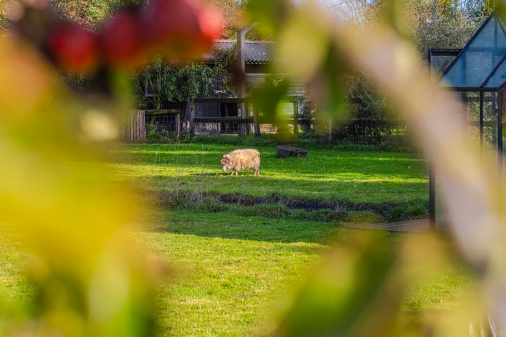 View photo 45 of Polderdijk 9