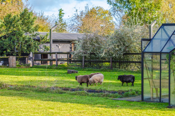 Foto 49 van Polderdijk 9