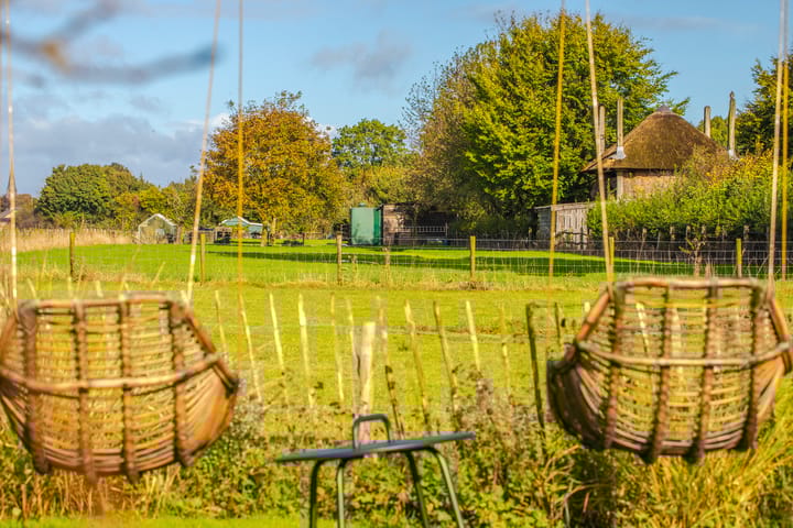 Foto 62 van Polderdijk 9