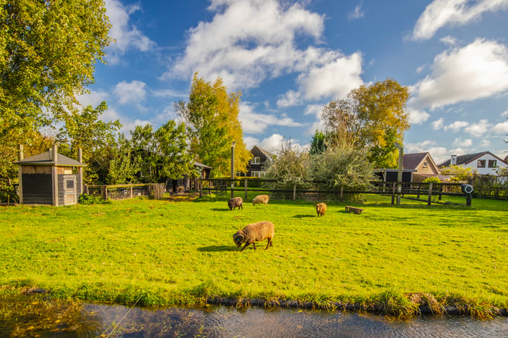 View photo 69 of Polderdijk 9