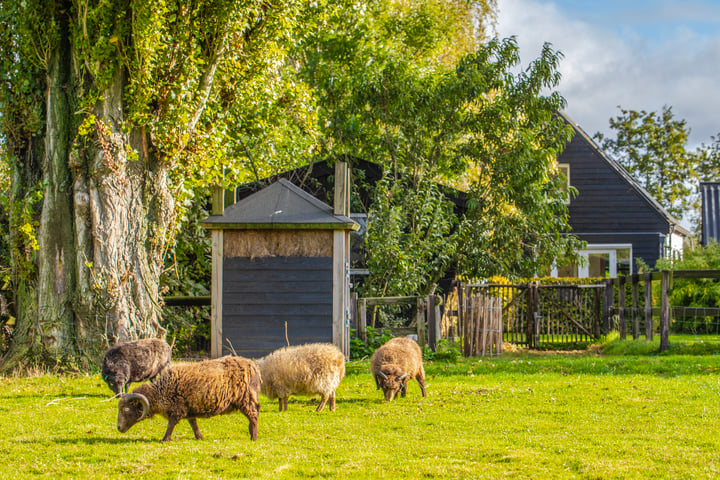 View photo 71 of Polderdijk 9