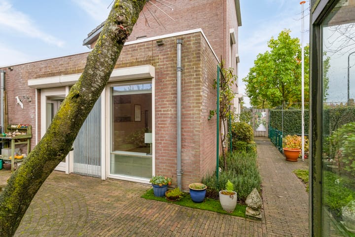 Foto 39 van Visven 602