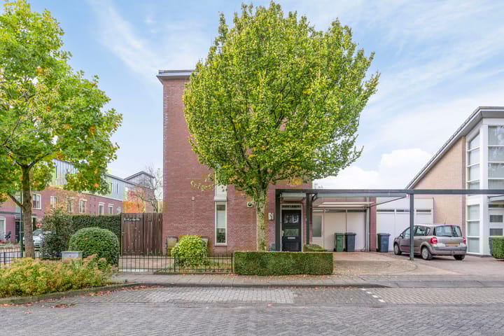 Foto 42 van Visven 602