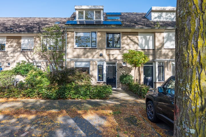 Foto 42 van de Wadden 21