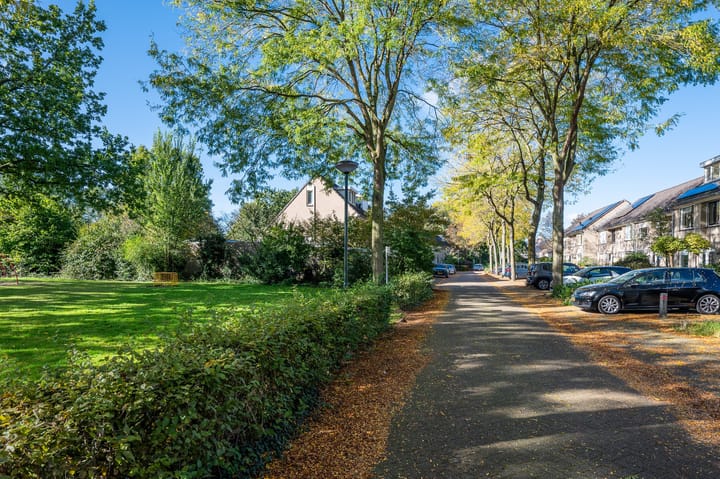 Foto 48 van de Wadden 21