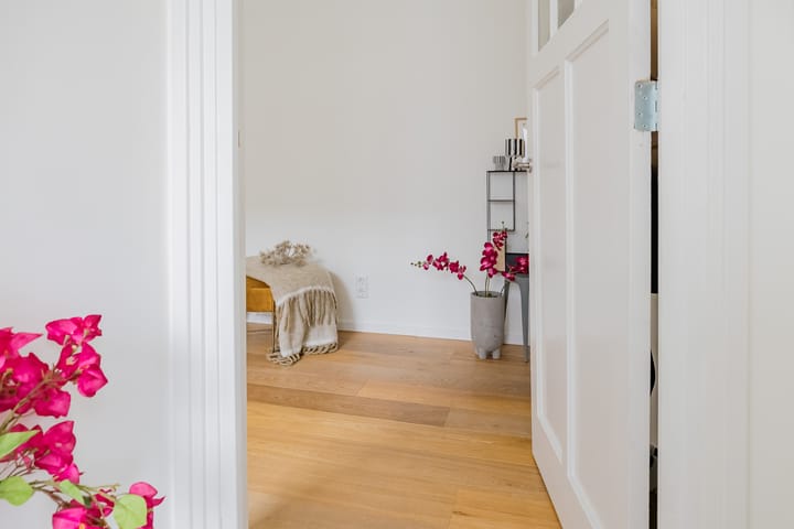 Foto 23 van Alexander Bellstraat 45-A