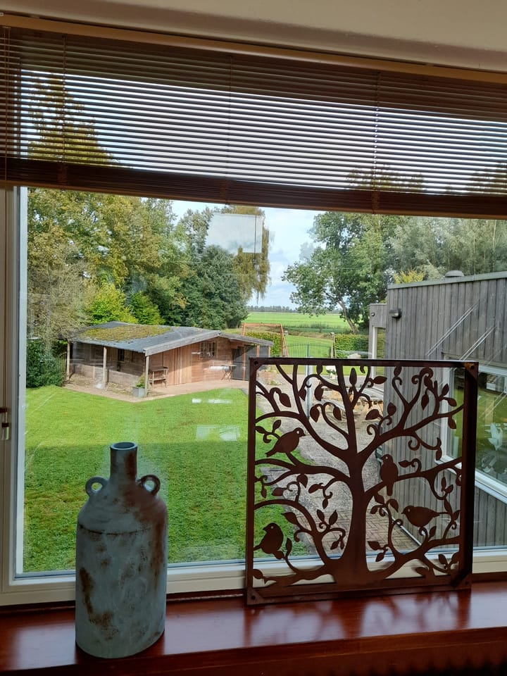 Photo 31 of Dwingelderdijk 1