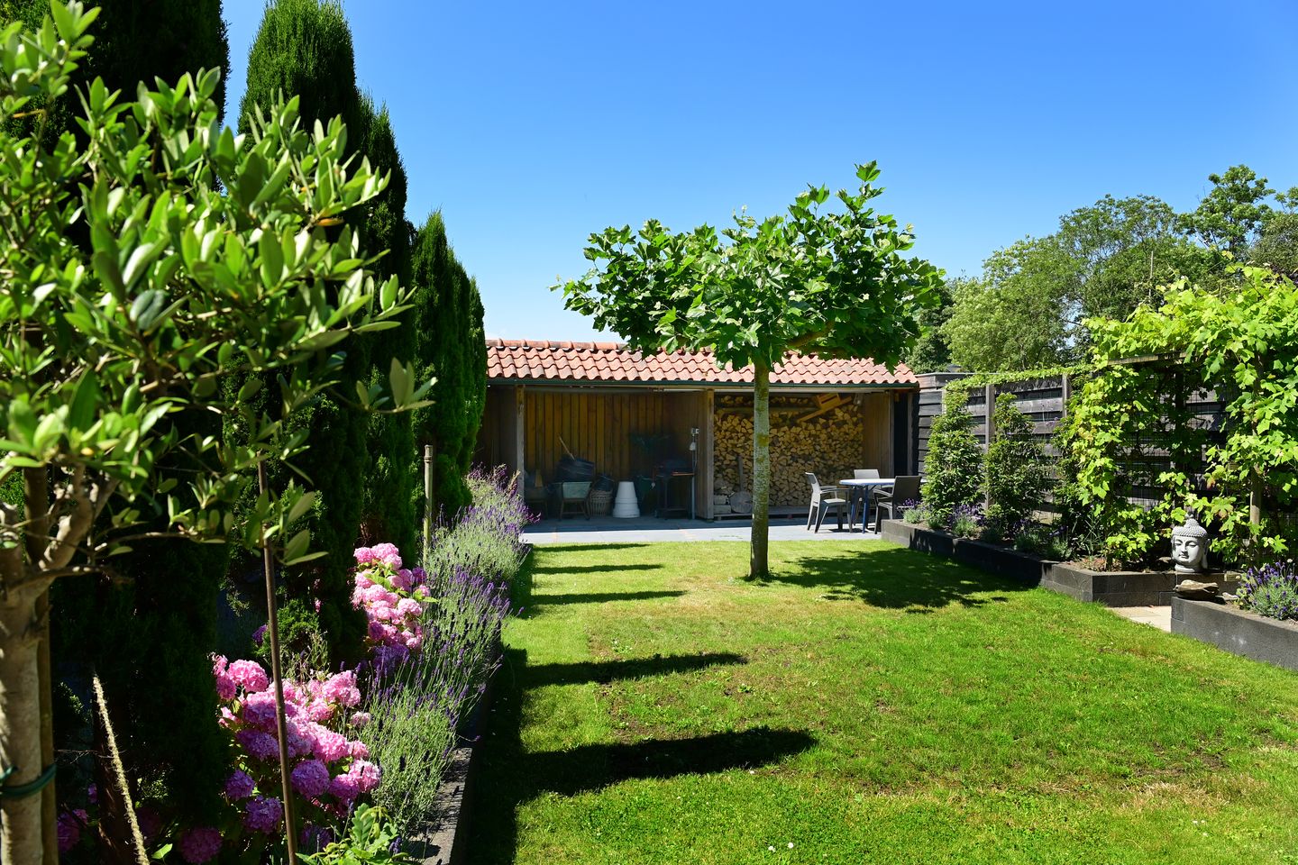 Foto 49 van Dorpsstraat 831