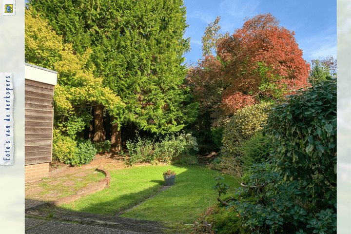 Foto 30 van Tuinweg 14