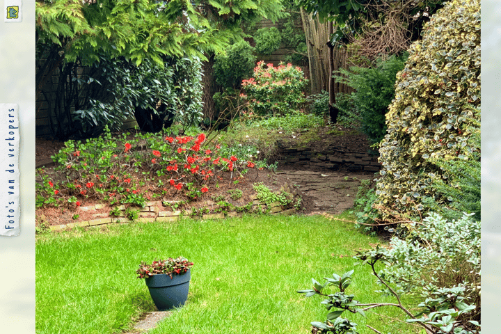 Foto 32 van Tuinweg 14