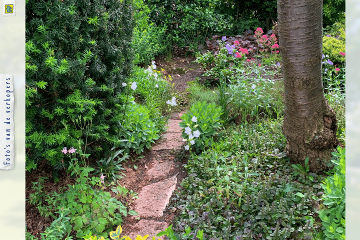 Foto 34 van Tuinweg 14