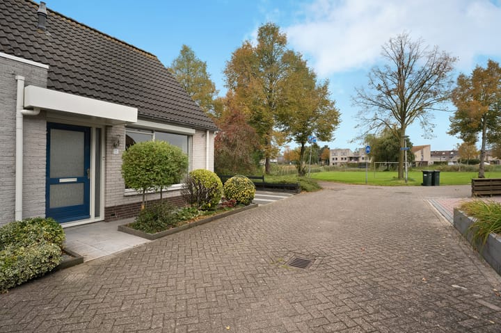 Foto 3 van Vuurvlinder 11