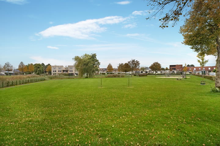 Foto 4 van Vuurvlinder 11