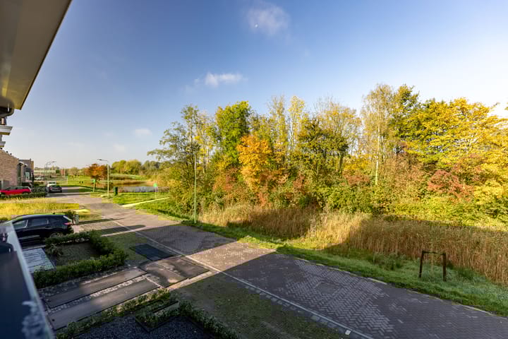 Foto 42 van Klaprozen 13