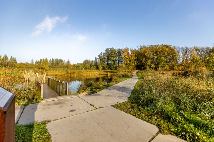 Foto 43 van Klaprozen 13