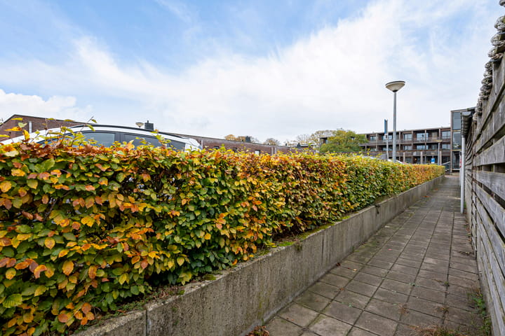 Foto 41 van Verlaatseweg 39