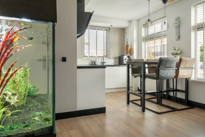 Foto 13 van Blikfaart 3