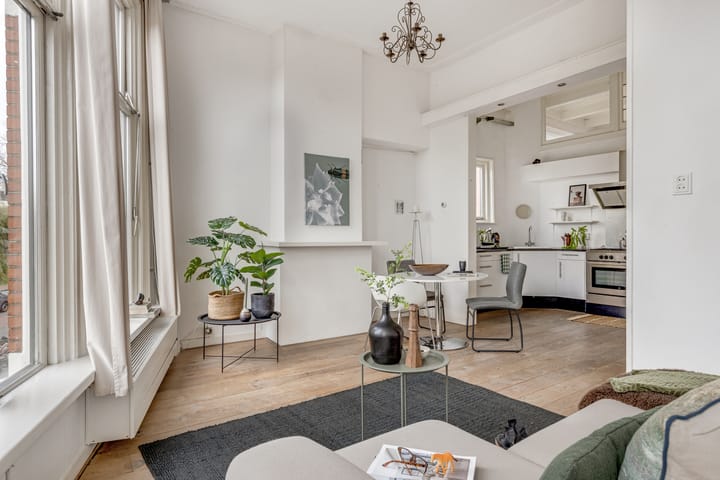 Foto 2 van Petrus Campersingel 117-A