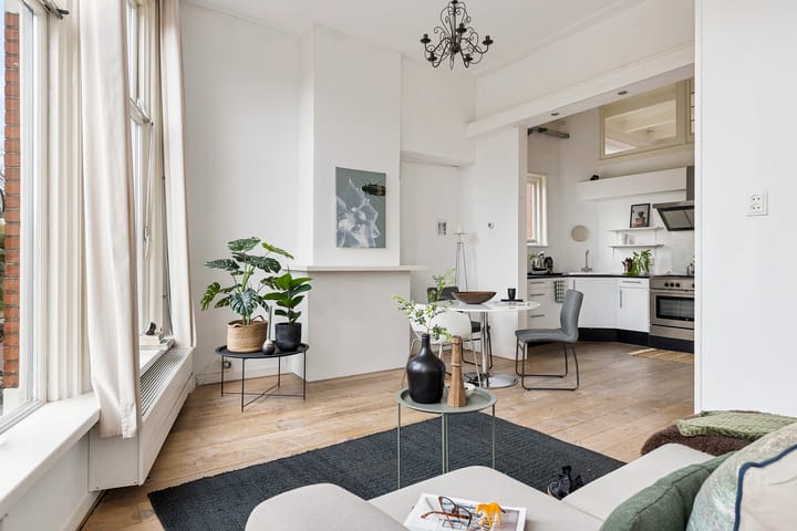 Foto 11 van Petrus Campersingel 117-A