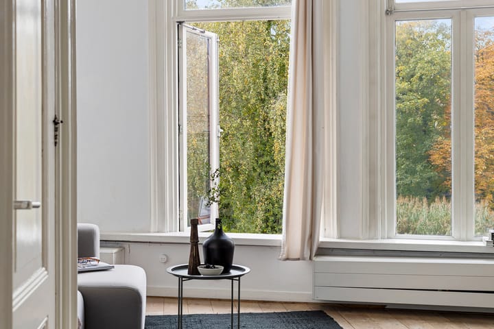 Foto 12 van Petrus Campersingel 117-A