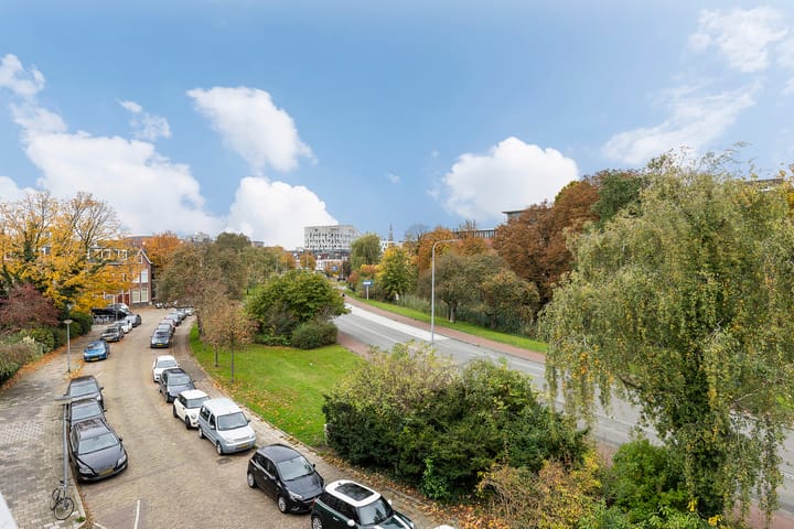 Foto 36 van Petrus Campersingel 117-A