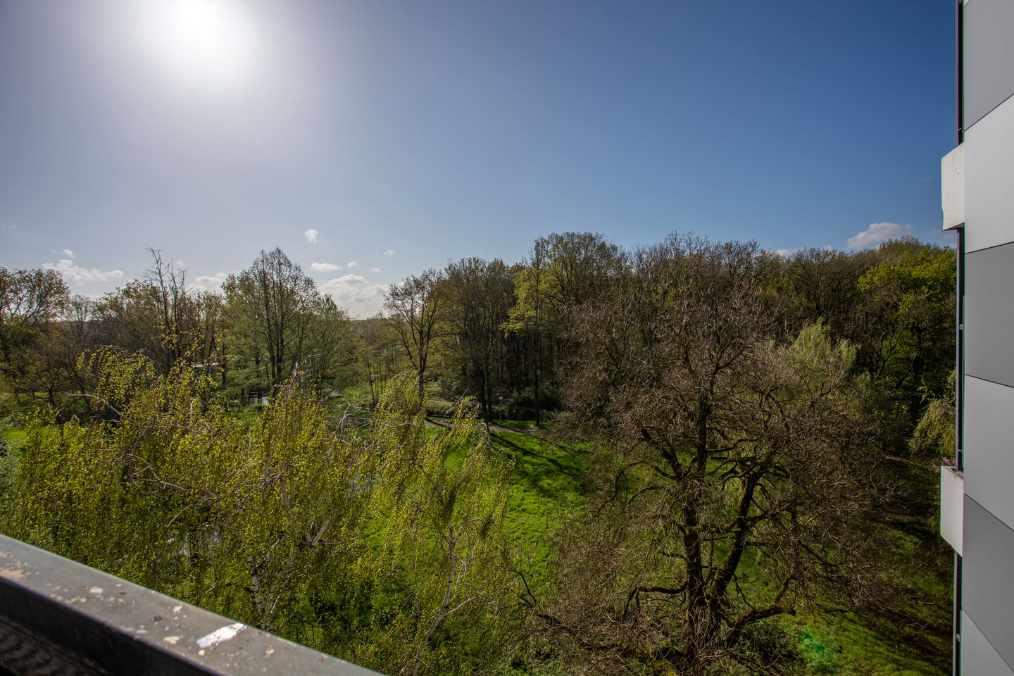 Photo 35 of Lankforst 5613