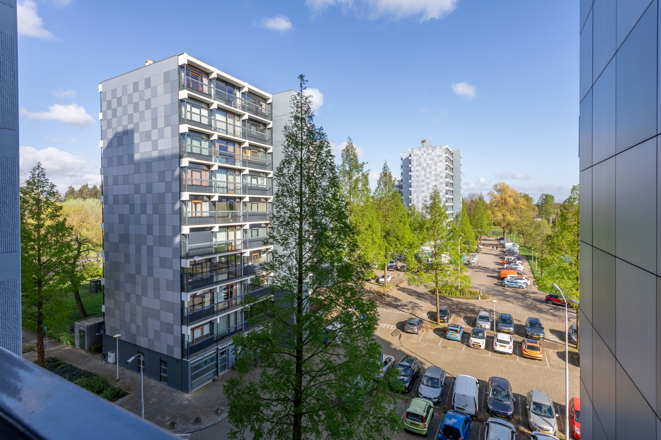 Photo 36 of Lankforst 5613