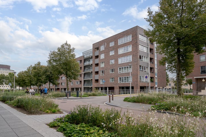 Bekijk foto van Wismarstraat 87