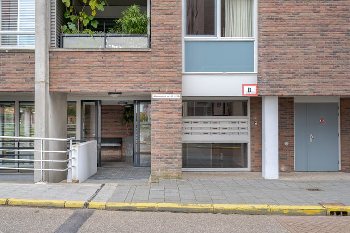 Bekijk foto 47 van Wismarstraat 87