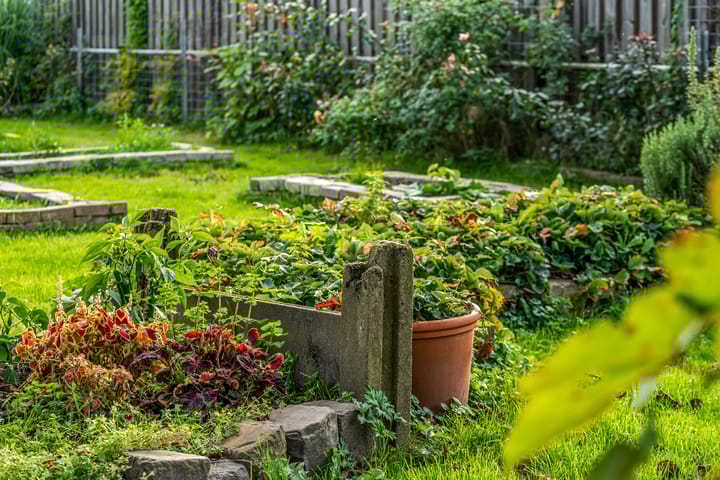 Foto 36 van Schebbelaarsestraat 7