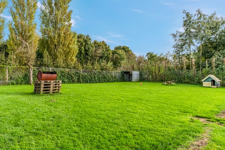 Foto 37 van Schebbelaarsestraat 7