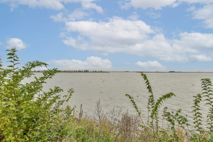 Foto 36 van Daguerrestraat 34