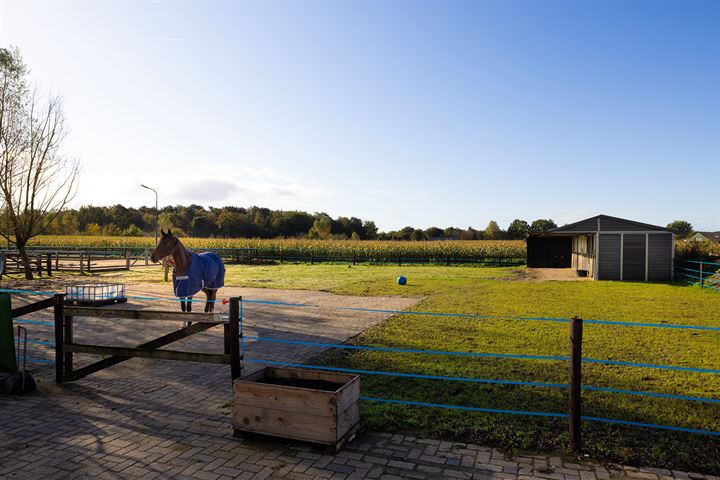 Bekijk foto 70 van Schotkampweg 159