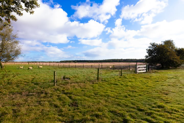 Foto 75 van Schotkampweg 159