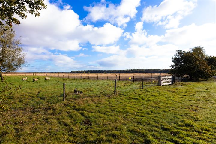 Bekijk foto 75 van Schotkampweg 159