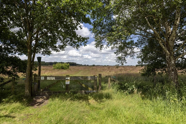 Foto 76 van Schotkampweg 159