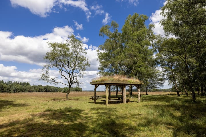 Foto 77 van Schotkampweg 159