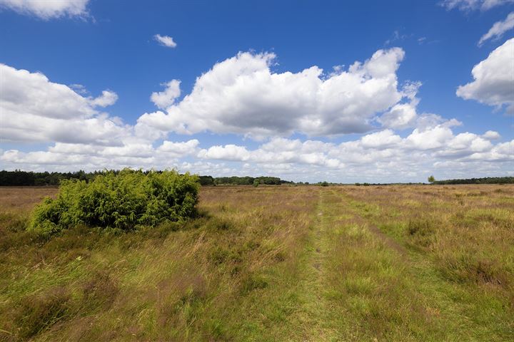 Bekijk foto 79 van Schotkampweg 159