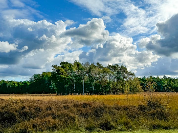 Foto 80 van Schotkampweg 159