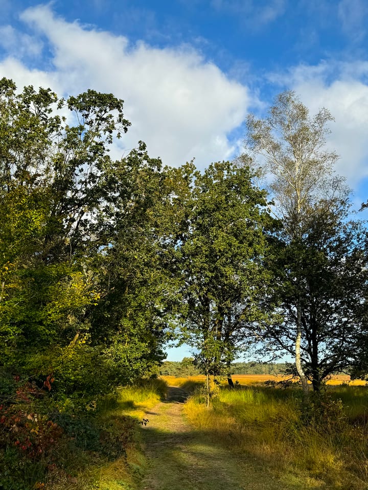 Foto 81 van Schotkampweg 159