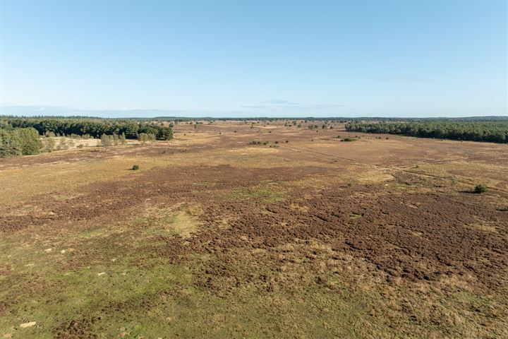 Bekijk foto 90 van Schotkampweg 159