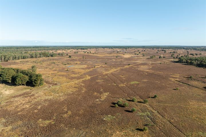 Bekijk foto 91 van Schotkampweg 159