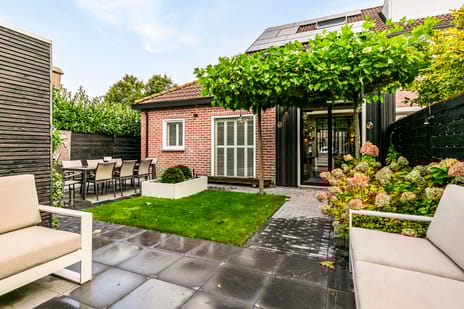 undefined main image