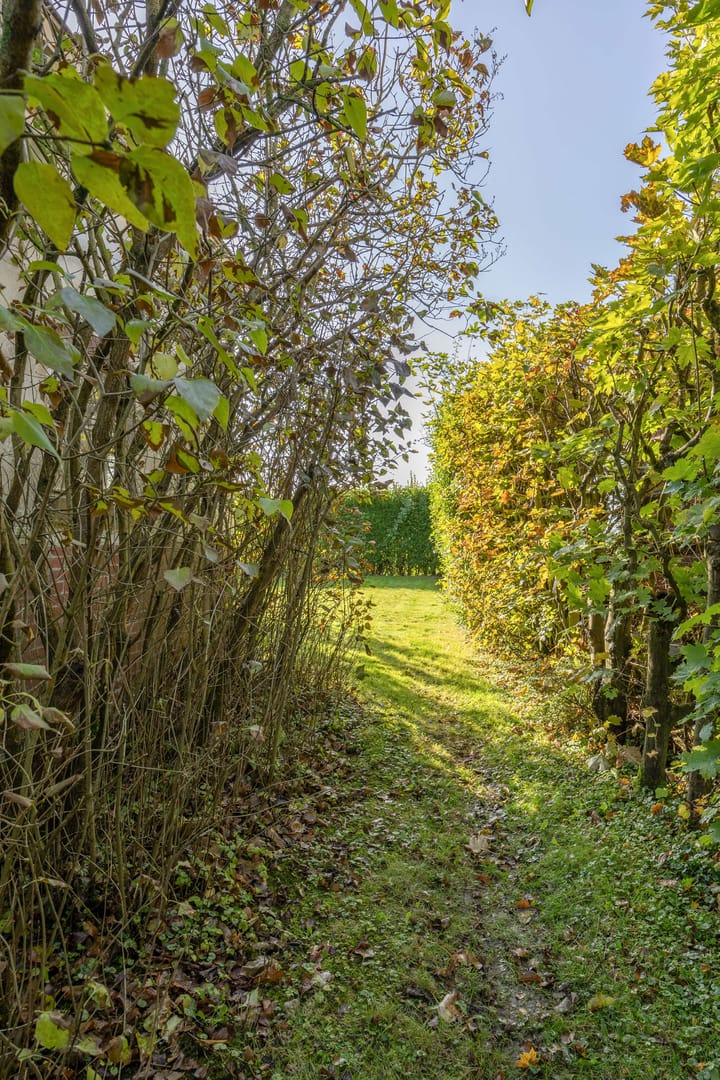 Foto 41 van Elensterweg 17